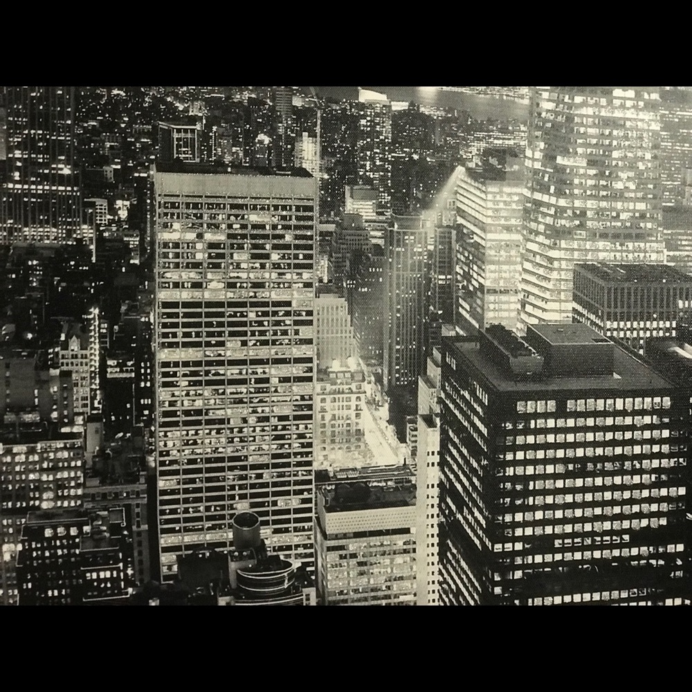 Meet your Posher, Sasha